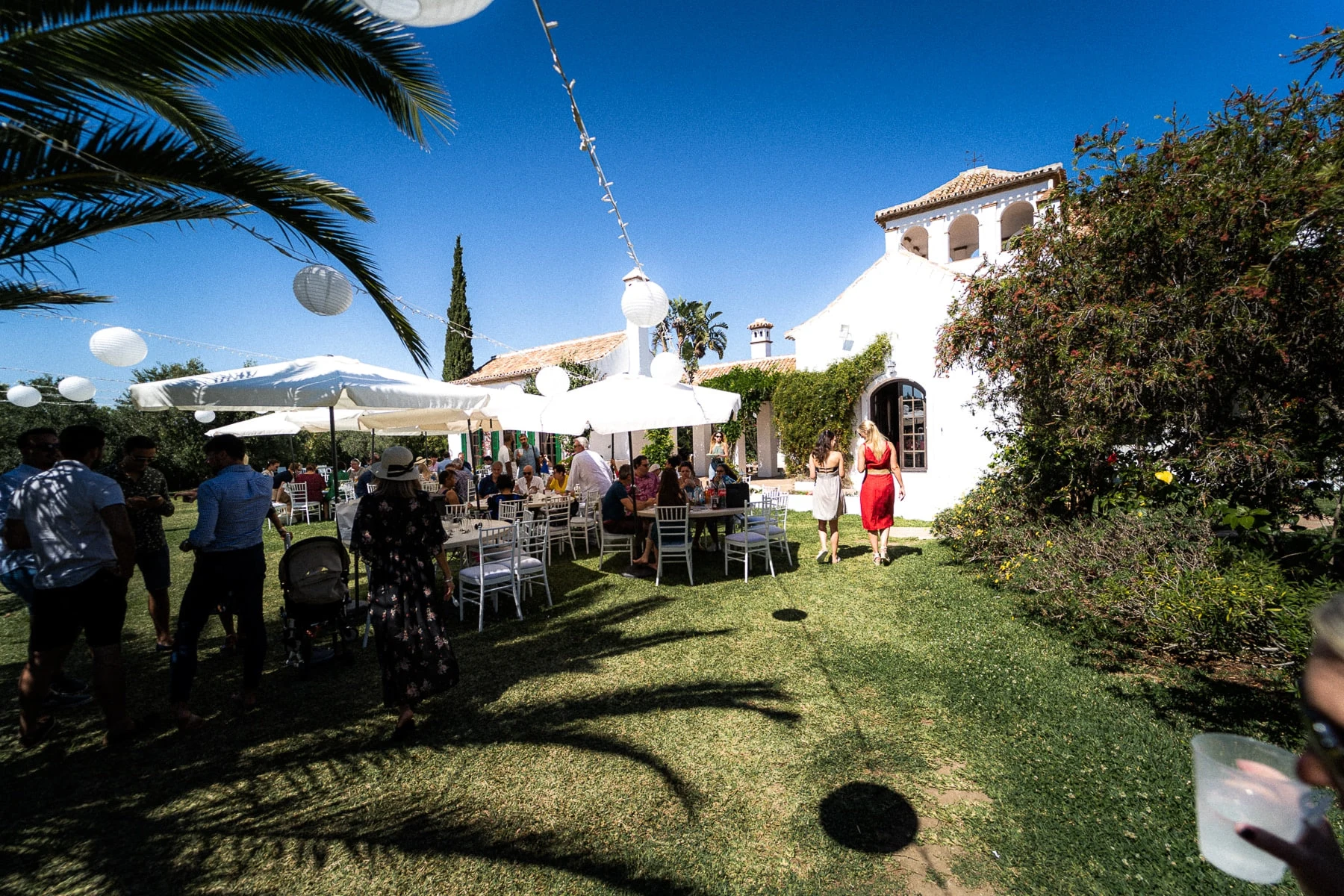 Cocktail des invités au jardin sous les palmiers, Andalousie